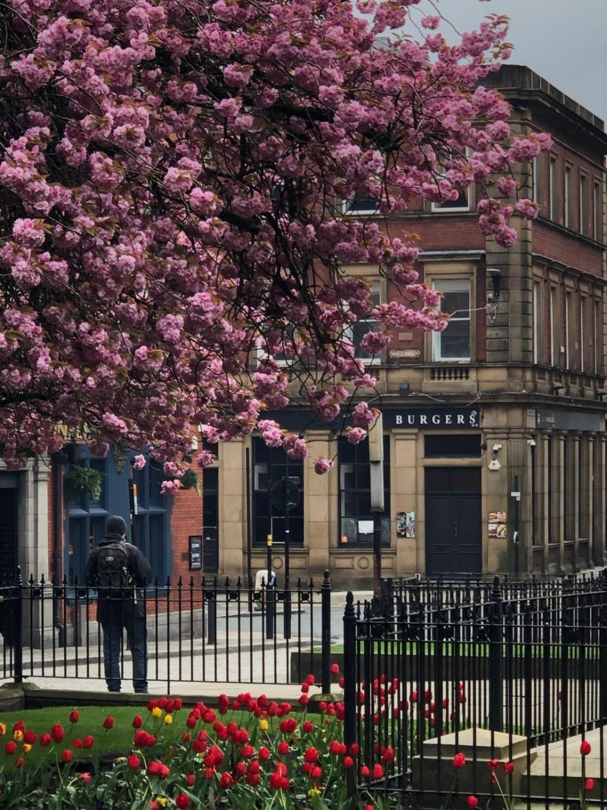 Studio In Bolton Town, Short Stay Studio 5, エクステリア 写真